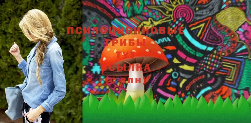 Псилоцибиновые грибы Psilocybe  Инта 